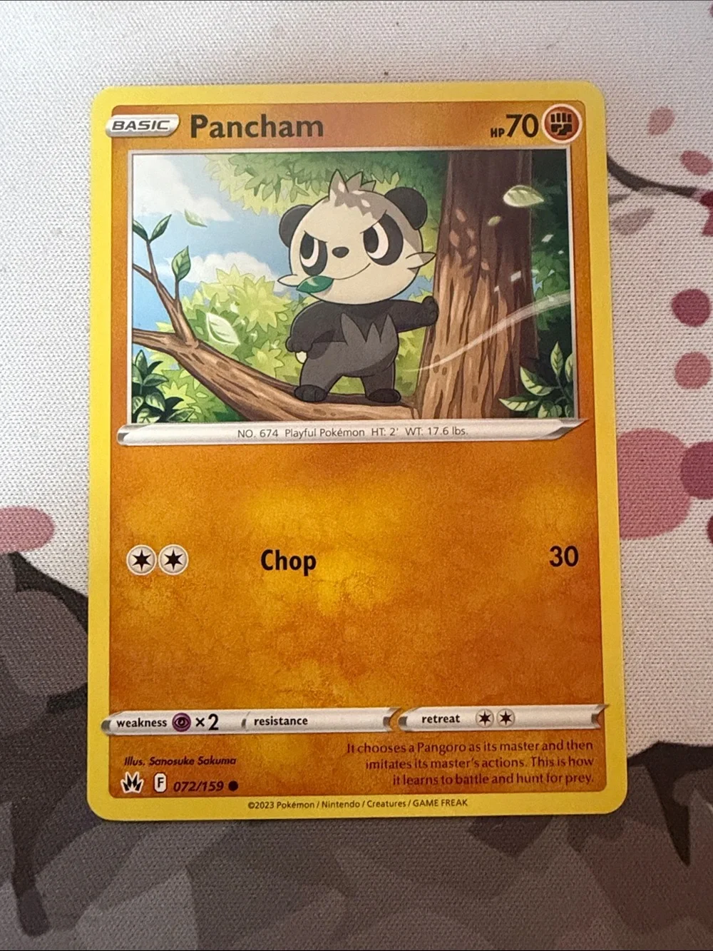 Pancham & Pangoro Evolution Lot | 6 Pokémon Cards | ✨5/$25✨